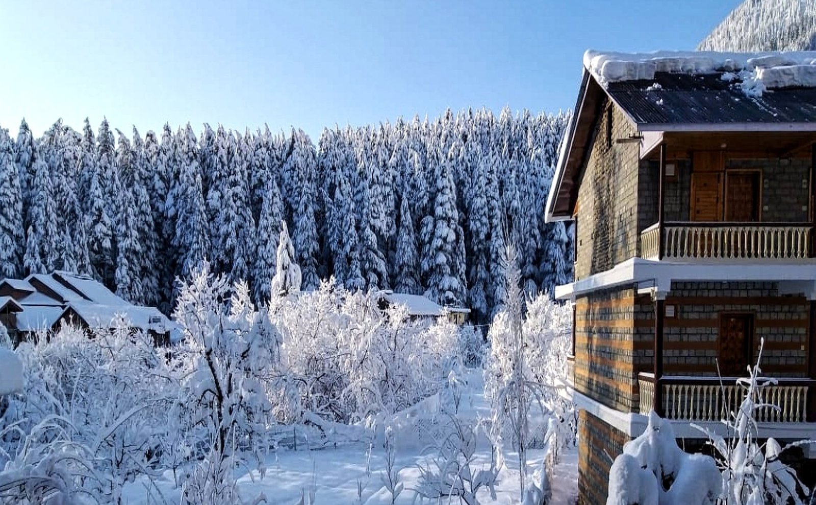 delhi to shimla manali package